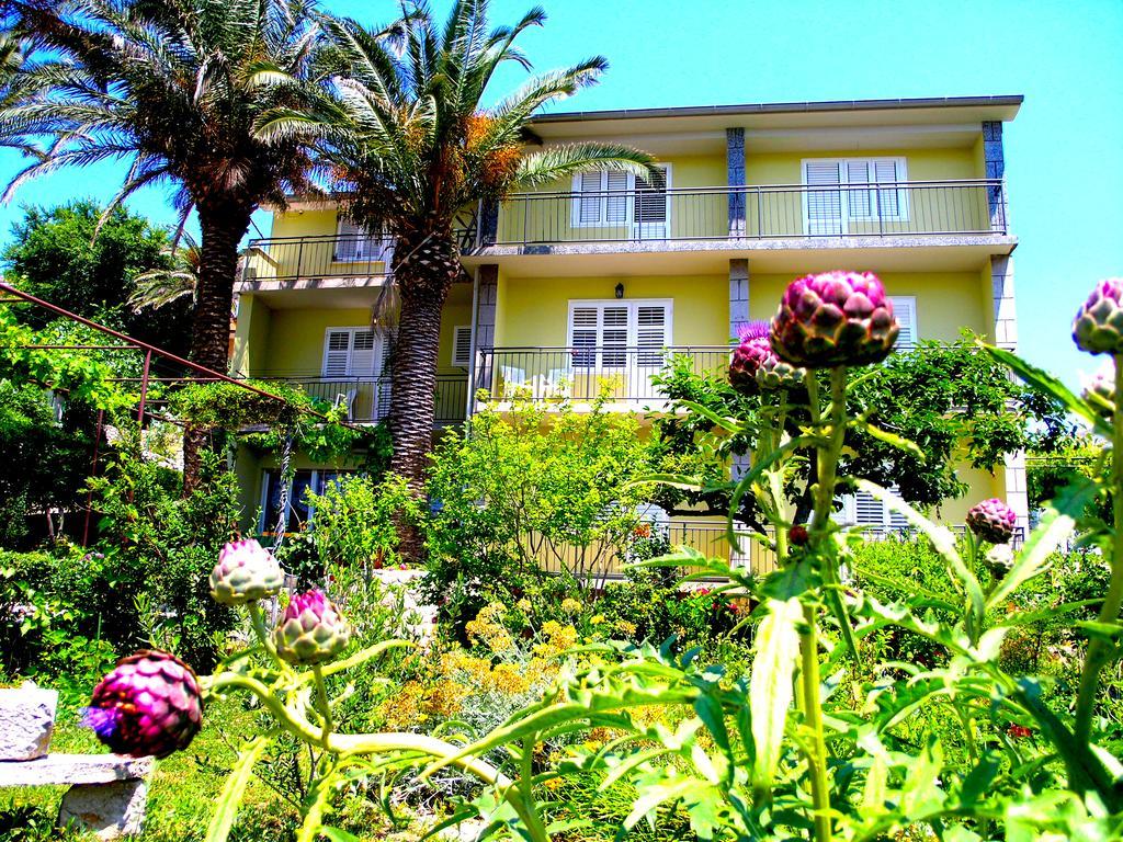 Отель House Rozi Palit Экстерьер фото